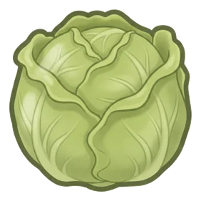 lechuga