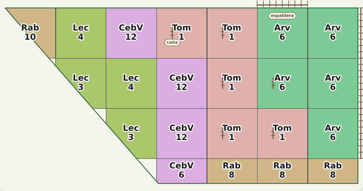 Plano generado por la app: un cantero con forma de trapecio dividido en cuadros de colores. Cada cuadro lleva la sigla del cultivo y cuántas plantas entran, por ejemplo Lec 4, CebV 12, Tom 1, Arv 6, Rab 8.